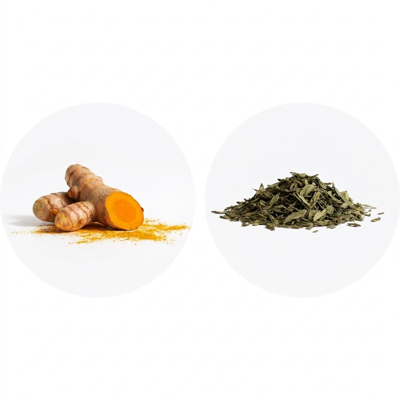 Curcumin & Tea Polyphenols
